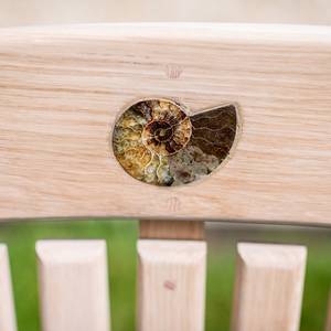 Ammonite Accessory on Swinging Bench