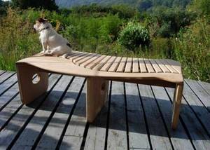 Dog perched on a garden bench